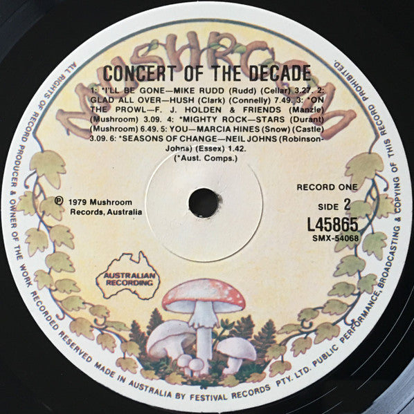 Various – The Concert Of The Decade (2xLP) LP vinyl record, image 5 of 9