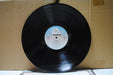 The Alan Parsons Project – I Robot LP vinyl record, image 3 of 10
