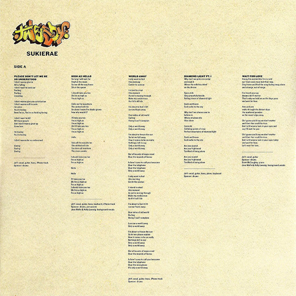 Tweedy – Sukierae (2xLP) LP vinyl record, image 5 of 10