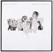 Radiohead – A Moon Shaped Pool (2xLP) LP vinyl record, image 7 of 10