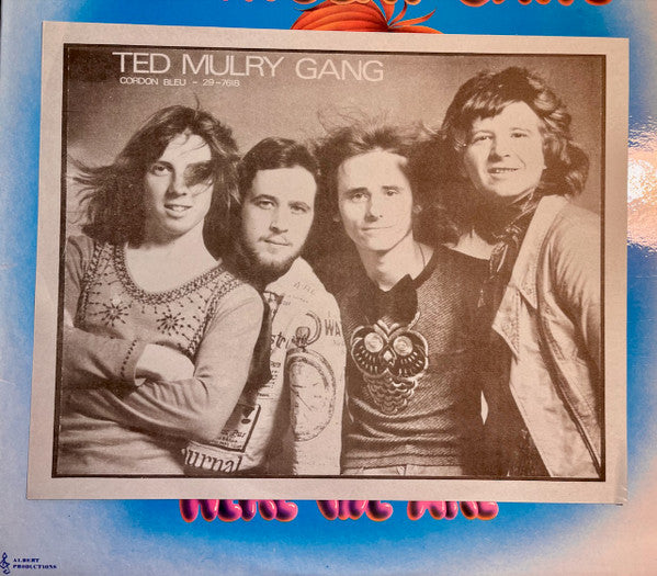 Ted Mulry Gang – Here We Are LP vinyl record, image 5 of 9