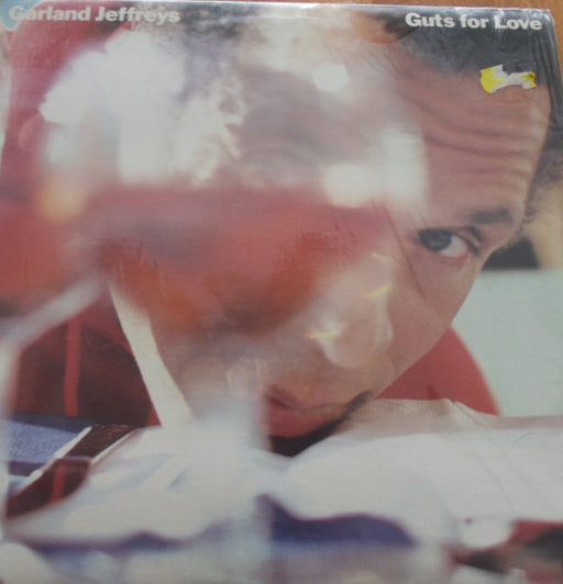 Garland Jeffreys – Guts For Love LP vinyl record, image 1 of 2