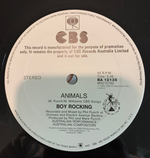 Boy Rocking – The House Is Shaking 12" vinyl record, image 4 of 4