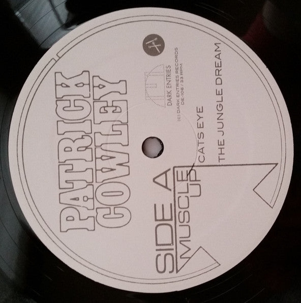 Patrick Cowley – Muscle Up (2xLP) LP vinyl record, image 5 of 9
