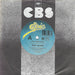 Nancy Wilson, Red Hot Chili Peppers – All For Love / Taste The Pain 7" vinyl record, image 1 of 2