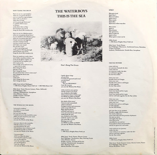 The Waterboys – This Is The Sea LP vinyl record, image 5 of 6