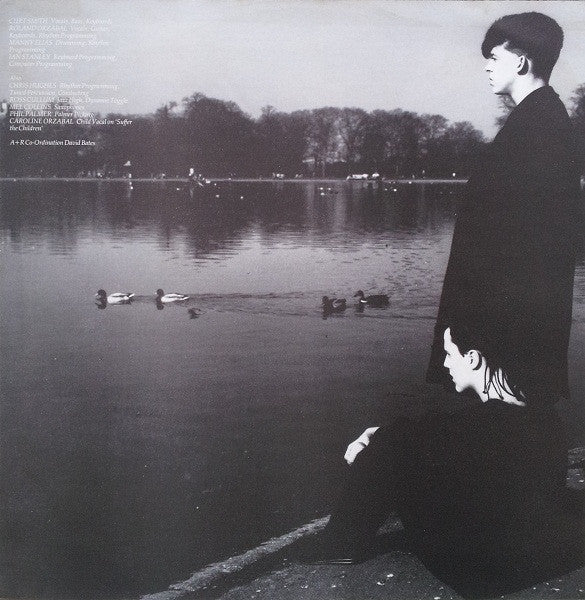 Tears For Fears – The Hurting LP vinyl record, image 6 of 6