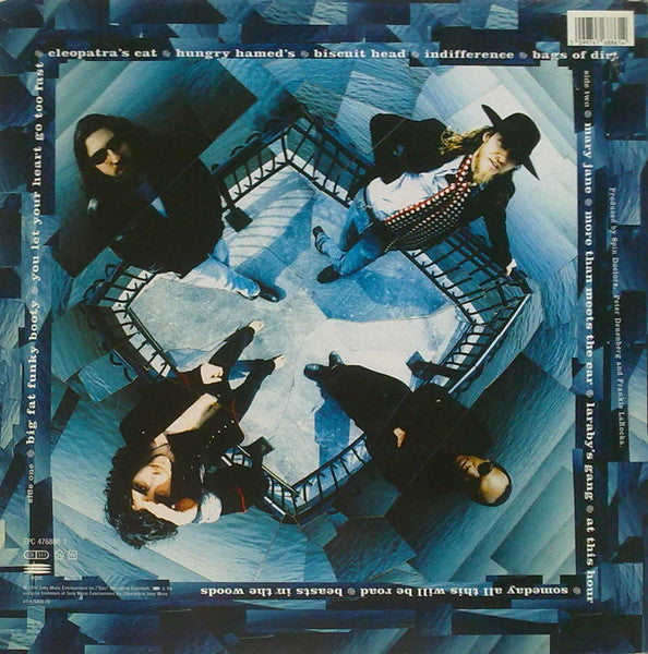 Spin Doctors – Turn It Upside Down LP vinyl record, image 4 of 8