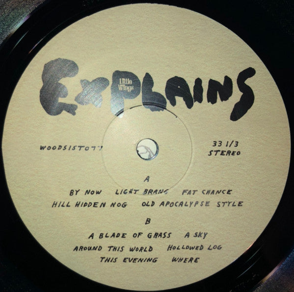Little Wings – Explains LP vinyl record, image 5 of 7