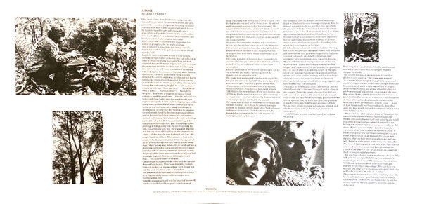 Van Morrison – Moondance LP vinyl record, image 2 of 6