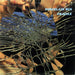 Porcelain Bus – Fragile LP vinyl record, image 1 of 4