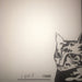 Ty Segall – Live at Death By Audio September 28, 2008 LP vinyl record, image 3 of 5