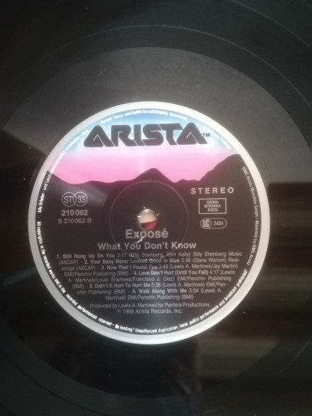 Exposé – What You Don't Know LP vinyl record, image 4 of 5
