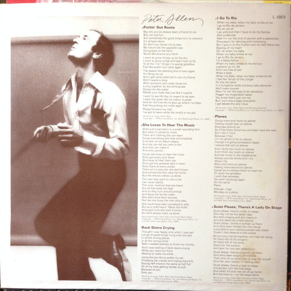 Peter Allen – Taught By Experts LP vinyl record, image 3 of 6