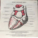The Stranglers – La Folie LP vinyl record, image 7 of 7