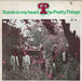 The Pretty Things – Rainin'In My Heart 7" vinyl record, image 1 of 4