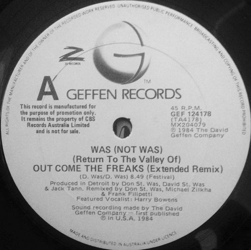 Was (Not Was) – (Return To The Valley Of) Out Come The Freaks - Remixed Version