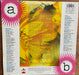 Various – A Certain Kind Of Freedom LP vinyl record, image 2 of 4
