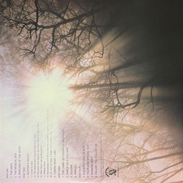 Genesis, Genesis – The Story Of Genesis = ジェネシス・ストーリー (2xLP) LP vinyl record, image 4 of 10