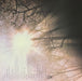 Genesis, Genesis – The Story Of Genesis = ジェネシス・ストーリー (2xLP) LP vinyl record, image 4 of 10