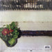 Fugazi – Red Medicine LP vinyl record, image 3 of 10