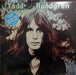 Todd Rundgren – Hermit Of Mink Hollow LP vinyl record, image 1 of 6