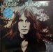Todd Rundgren – Hermit Of Mink Hollow LP vinyl record, image 1 of 6