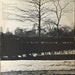 Steely Dan – Pretzel Logic LP vinyl record, image 3 of 5