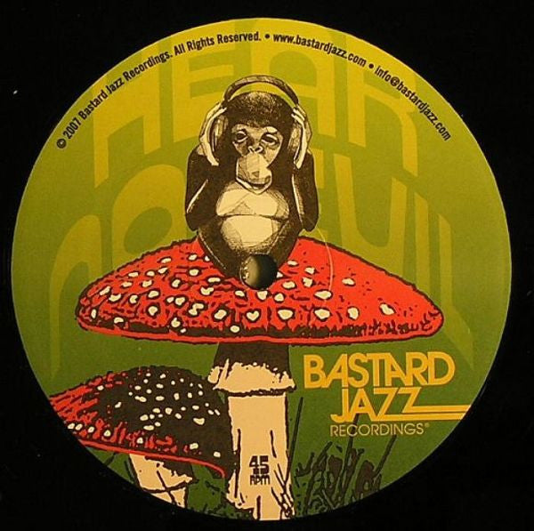 The Magic Fly – Champion Mushroom EP 12" vinyl record, image 2 of 2