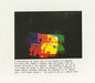 The Flying Lizards – The Flying Lizards LP vinyl record, image 4 of 6