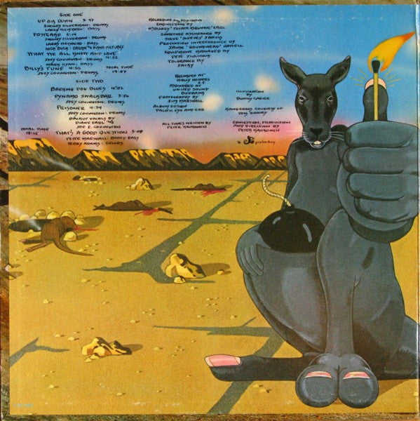 Peter Kaukonen – Black Kangaroo LP vinyl record, image 2 of 10