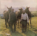 The Ozark Mountain Daredevils – Men From Earth LP vinyl record, image 1 of 6