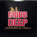 Mobb Deep – Juvenile Hell LP vinyl record, image 1 of 3