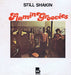 The Flamin' Groovies – Still Shakin LP vinyl record, image 1 of 4