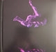 The Avalanches – We Will Always Love You (2xLP) LP vinyl record, image 9 of 10