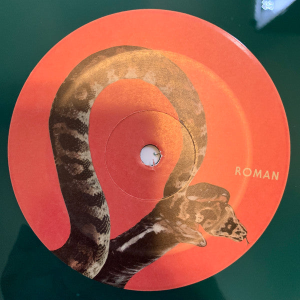 Queens Of The Stone Age – In Times New Roman... (2xLP) LP vinyl record, image 8 of 10