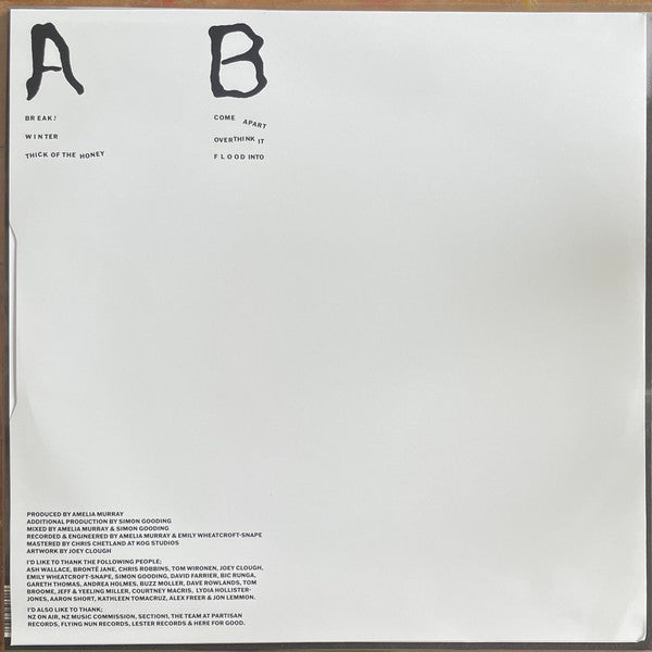 Fazerdaze – Break! 12" vinyl record, image 5 of 7