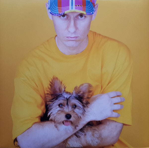 Pet Shop Boys – Introspective LP vinyl record, image 6 of 7