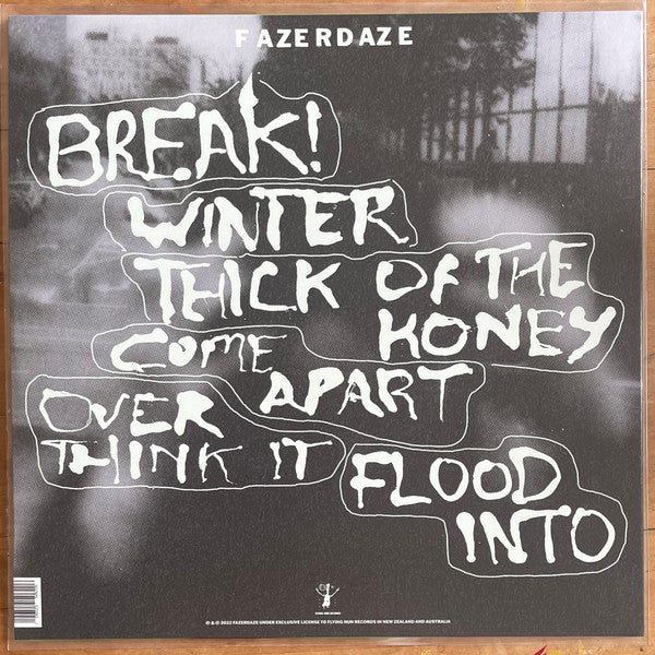 Fazerdaze – Break! 12" vinyl record, image 3 of 7