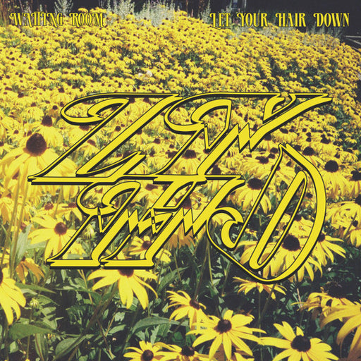 Let Your Hair Down – Waiting Room LP vinyl record, image 1 of 4