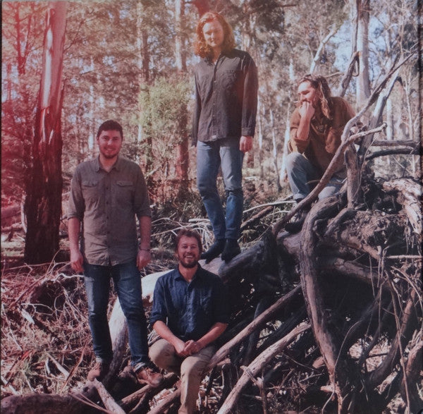 The Teskey Brothers – Half Mile Harvest LP vinyl record, image 5 of 9