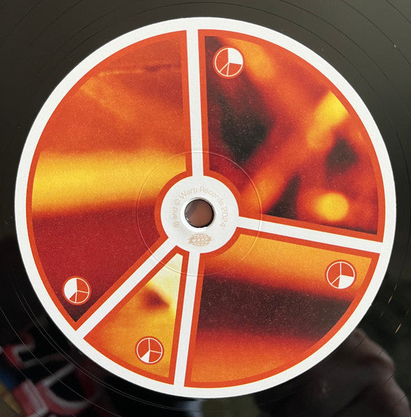 Aphex Twin – Selected Ambient Works Volume II (4xLP) LP vinyl record, image 7 of 10