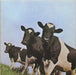 Pink Floyd – Atom Heart Mother LP vinyl record, image 3 of 5