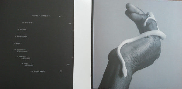 Animals As Leaders – Parrhesia LP vinyl record, image 4 of 6
