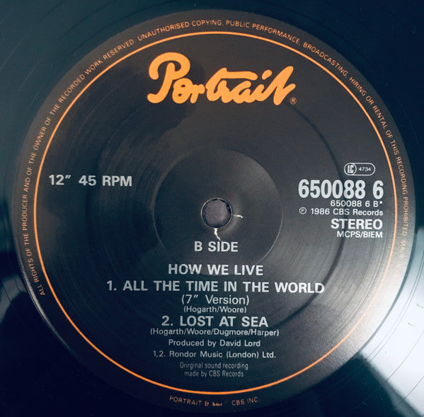 How We Live – All The Time In The World 12" vinyl record, image 4 of 4