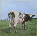 Pink Floyd – Atom Heart Mother LP vinyl record, image 1 of 5