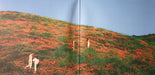 The Big Moon – Walking Like We Do LP vinyl record, image 2 of 10