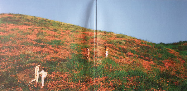The Big Moon – Walking Like We Do LP vinyl record, image 2 of 10