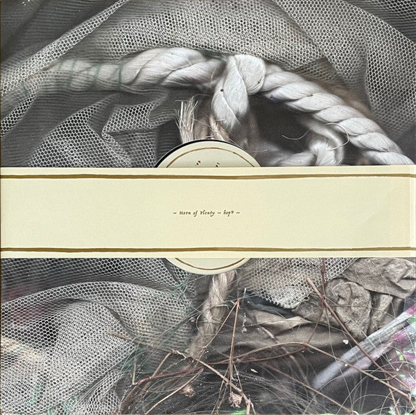 Eyes Of The Amaryllis – Sift LP vinyl record