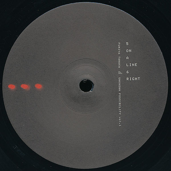 Fumiya Tanaka – Unknown Possibility Vol. 1 (2xLP) LP vinyl record, image 5 of 6